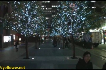 Awesome Christmas Lights In Toky 360x240