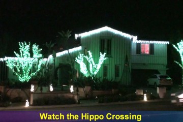 Best Christmas Lights In Orange 1 360x240