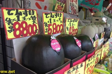 Eating Expensive Melons In Japan 360x240