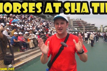 Hong Kong Horse Racing At Sha Ti 360x240