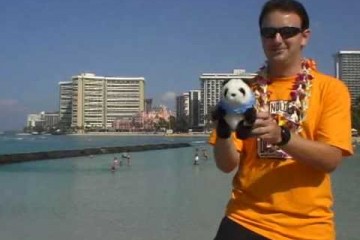 Honolulu Hawaii Travel Guide 360x240