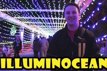 Illuminocean Christmas Lights In 360x240
