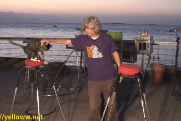 Key West Street Performers Inclu 360x240