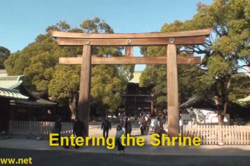 Meiji Jingu Shrine Travel Guide 360x240