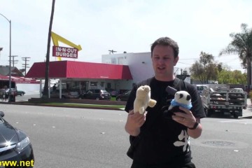 Oldest Operating In N Out Burger 360x240