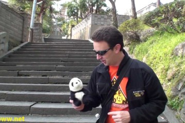 Panda Race 360x240