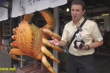 Sapporo Japan Travel Guide 360x240