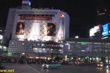 Shibuya Hachiko And Love Hotels 360x240