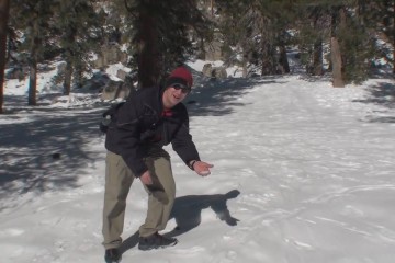 Snow In Palm Springs 360x240