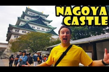 Nagoya Castle Travel Guide 360x240